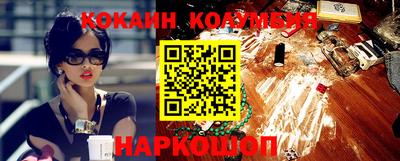спайс Кингисепп