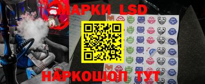 спайс Кингисепп