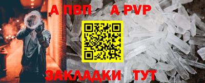 спайс Кингисепп