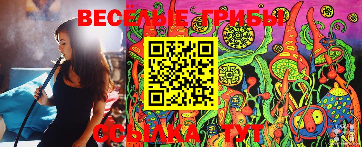 Галлюциногенные грибы Psilocybine cubensis  Вход с VPN  Галлюциногенные грибы GOLDEN TEACHER  Котельники 